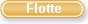 La flotte (les cars, les autocars...)